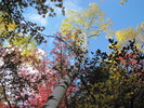 photo thumbnail #1