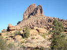photo thumbnail #1