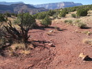 photo thumbnail #8