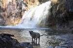 photo thumbnail #6