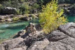 photo thumbnail #11