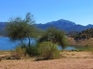 photo thumbnail #6