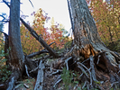 photo thumbnail #13