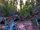photo thumbnail #15