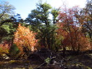 photo thumbnail #3