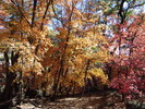 photo thumbnail #4