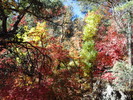 photo thumbnail #9