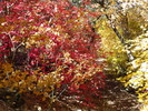 photo thumbnail #11