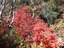 photo thumbnail #14