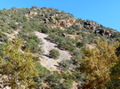 photo thumbnail #3