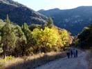 photo thumbnail #13