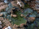 photo thumbnail #15
