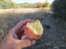 photo thumbnail #8