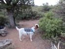 photo thumbnail #10