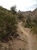 photo thumbnail #1