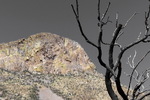 photo thumbnail #9