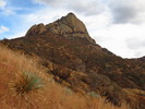 photo thumbnail #2