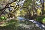 photo thumbnail #10