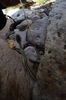 photo thumbnail #11