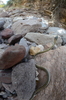 photo thumbnail #13