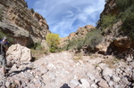 photo thumbnail #14