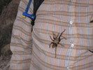photo thumbnail #1