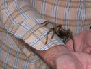 photo thumbnail #2