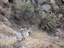 photo thumbnail #12