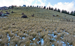 photo thumbnail #14