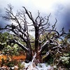 photo thumbnail #8