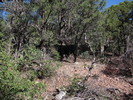 photo thumbnail #6