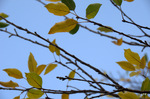 photo thumbnail #3