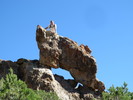 photo thumbnail #6
