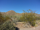 photo thumbnail #3