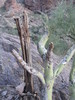 photo thumbnail #3