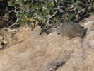 photo thumbnail #15