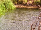 photo thumbnail #8