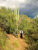 photo thumbnail #12