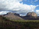 photo thumbnail #14