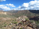 photo thumbnail #10
