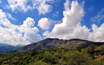 photo thumbnail #9