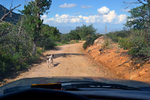 photo thumbnail #10