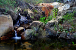 photo thumbnail #13