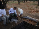 photo thumbnail #5
