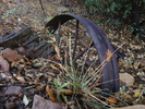 photo thumbnail #9