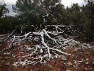 photo thumbnail #12