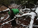 photo thumbnail #13