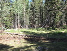 photo thumbnail #2