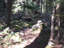 photo thumbnail #5