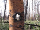 photo thumbnail #5